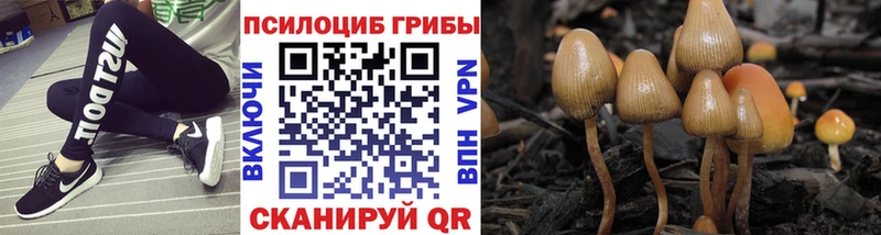 Галлюциногенные грибы Magic Shrooms  Купить где  Липецк 